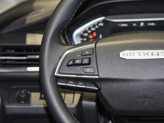 2024款 1.3T PLUG IN 智享版 七座
