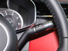 2023款 P250 R-Dynamic BLACK