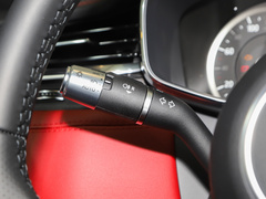 2023款 P250 R-Dynamic BLACK