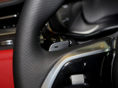 2023款 P250 R-Dynamic BLACK