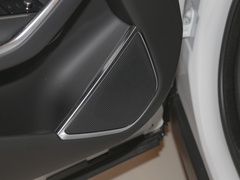 2023款 P250 HSE
