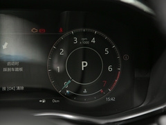 2023款 P250 HSE