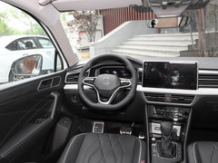 2023款 330TSI 自动两驱R-Line越享版