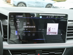 2023款 330TSI 自动两驱R-Line旗舰版