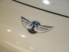 2023款 720km 后驅(qū)尊貴版