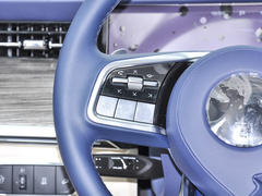 2023款 3.0T V6 汽油极途版