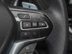2023款 PLUS 2.0T 汽油自动豪华版