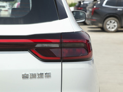 2023款 鲲鹏版 290TGDI 自动卓越版