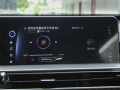 2023款 鲲鹏版 290TGDI 自动卓越版