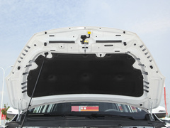 2023款 鲲鹏版 290TGDI 自动卓越版