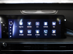 2023款 鲲鹏版 290TGDI 自动卓越版