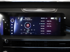 2023款 鲲鹏版 290TGDI 自动卓越版