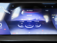 2023款 鲲鹏版 290TGDI 自动卓越版