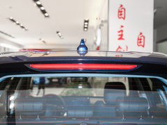 2023款 鲲鹏版 290TGDI 自动卓越版