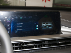 2023款 鲲鹏版 290TGDI 自动卓越版