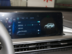 2023款 鲲鹏版 290TGDI 自动卓越版