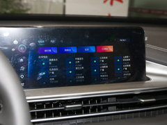 2023款 鲲鹏版 290TGDI 自动卓越版