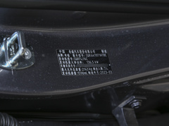 2023款 鲲鹏版 290TGDI 自动超享版