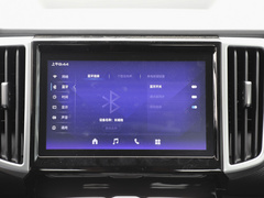 2021款  2.0T商用版自动柴油四驱精英型长箱拖挂版GW4D20M