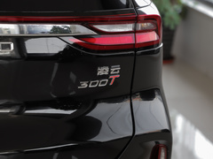 2023款 300T 两驱星享版
