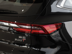 2023款 300T 两驱星享版