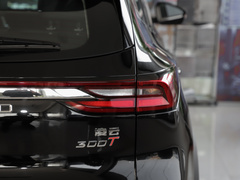 2023款 300T 两驱星享版