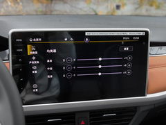 2023款 200TSI DSG悦行版
