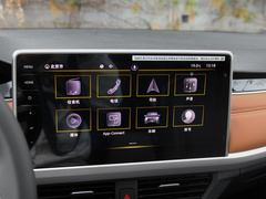 2023款 200TSI DSG悦行版