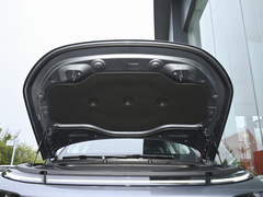 2022款 650 性能版Max