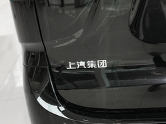 2023款 2.0T 手动多功能版 柴油 7座
