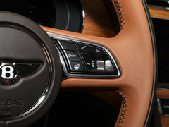 2023款 4.0T V8 长轴距雅度版