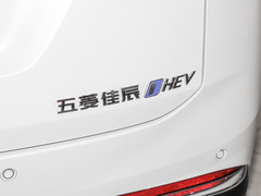 2023款 2.0L DHT旗舰型