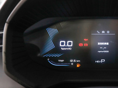 2023款 2.0L DHT旗舰型