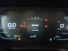 2023款 2.0L DHT旗舰型