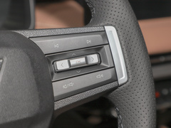 2023款 2.0L DHT旗舰型