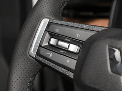 2023款 2.0L DHT旗舰型