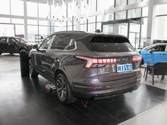 2023款 2.0TD EM-P 远航版PM 七座