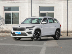 2023款 TSI330 5座两驱奢享版