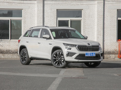 2023款 TSI330 5座两驱奢享版