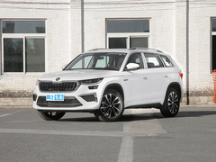 2023款 TSI380 7座四驱旗舰版
