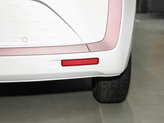 2023¿î ÖÜÄê¿î 301km ÂúÌìÐÇ 45kW