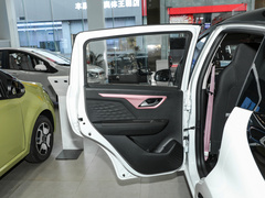 2023¿î ÖÜÄê¿î 301km ÂúÌìÐÇ 45kW