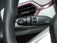 2023¿î ÖÜÄê¿î 301km ÂúÌìÐÇ 45kW