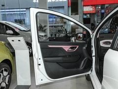 2023¿î ÖÜÄê¿î 301km ÂúÌìÐÇ 45kW