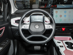 2023¿î ÖÜÄê¿î 301km ÂúÌìÐÇ 45kW