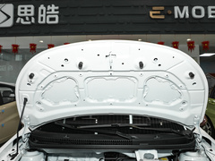 2023¿î ÖÜÄê¿î 301km ÂúÌìÐÇ 45kW