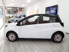 2023¿î ÖÜÄê¿î 301km °×ÓñÀ¼ 45kW
