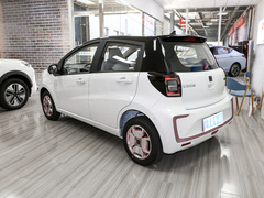 2023¿î ÖÜÄê¿î 301km °×ÓñÀ¼ 45kW