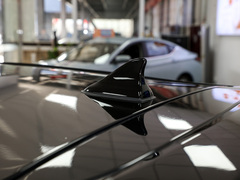2023¿î ÖÜÄê¿î 301km °×ÓñÀ¼ 45kW