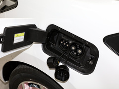 2023¿î ÖÜÄê¿î 301km °×ÓñÀ¼ 45kW